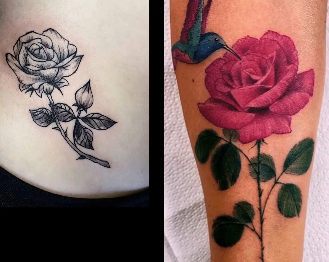 antes e depois 1