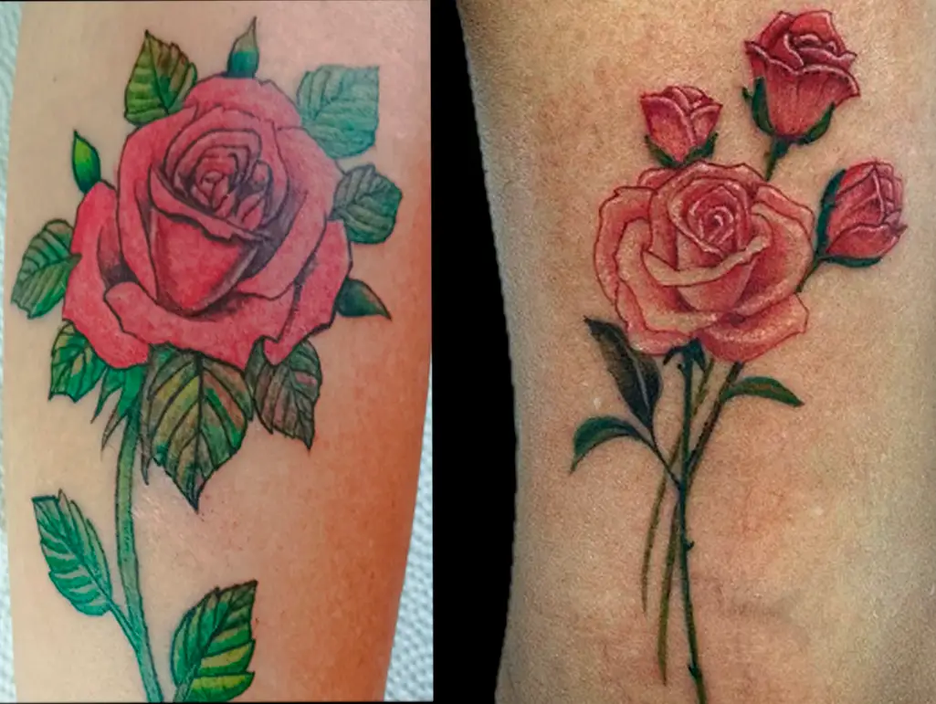 ex 02 rosa